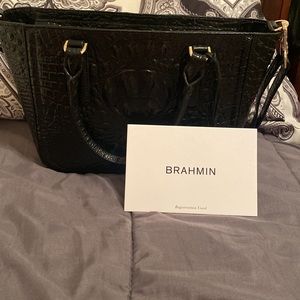 NWOT Brahmin